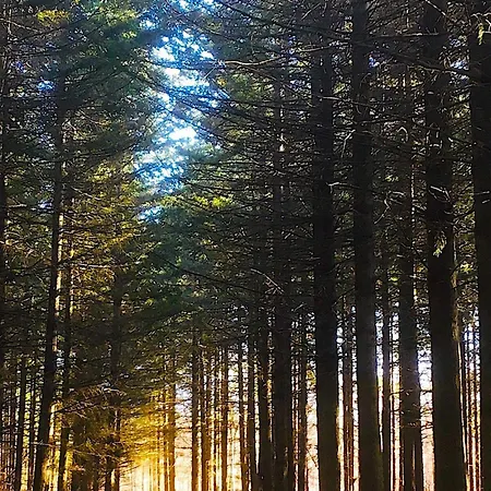 بيت للعطل La Maison De