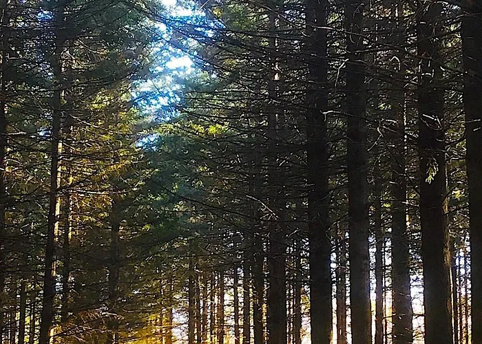 Holiday home La Maison De